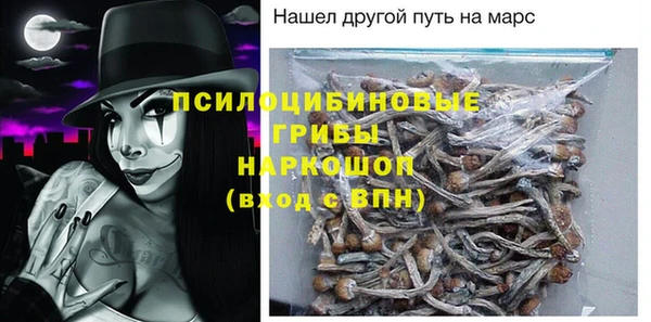 дживик Арсеньев