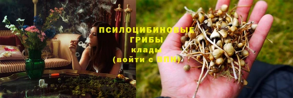 метадон Армянск