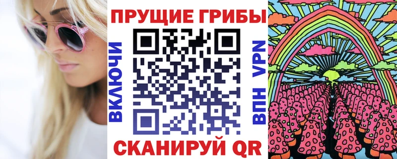 где купить наркоту  гидра зеркало  Псилоцибиновые грибы GOLDEN TEACHER  Михайлов 